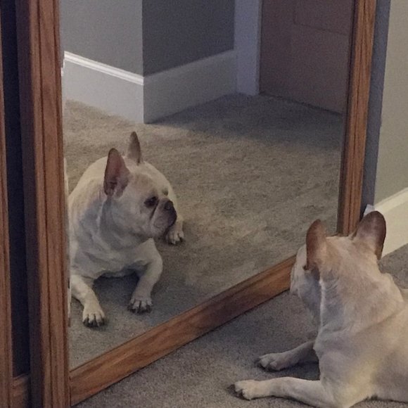 Meet your Posher, Diane - Picture 2 of 9